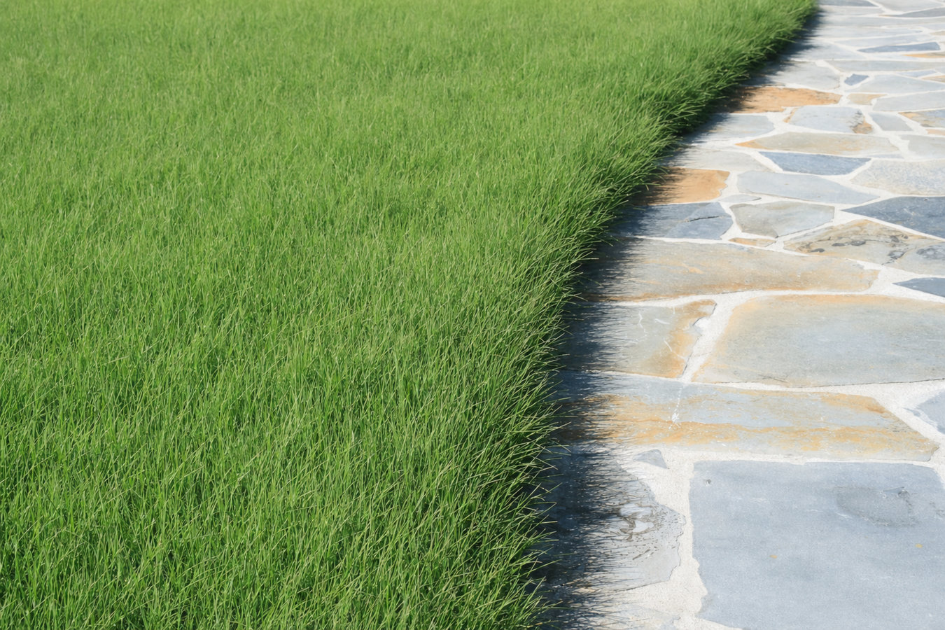 Drought-tolerant turf in Palm Bay, FL
